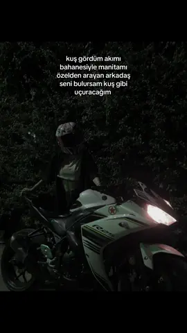 korkak seni #fypage #foryoupageofficiall #kesfet 