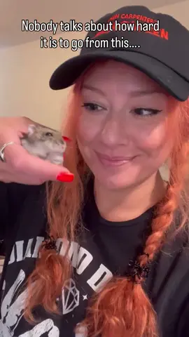 After adopting 6 hamsters over 3 years it feels surreal for that part of my life to be over (or …on pause). It took me so long to find a sense of worth again. Who am I if I’m not taking care of these sweet babies? One day again. Hopefully soon. #grief #hamstersoftiktok #hamstergang #adoptdontshop #smallanimals 