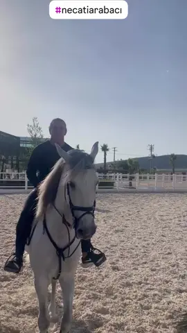 Necati arabacı asaleti diye bişey var #necatiarabacı #asalet #neco 