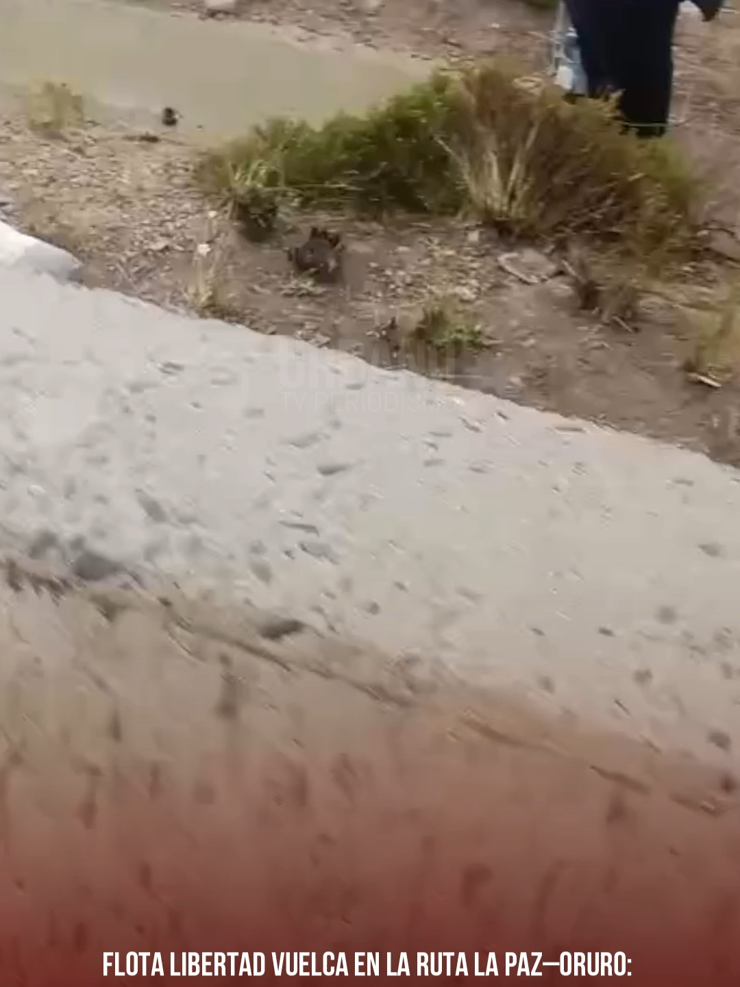 🚨 ÚLTIMA HORA: FATAL ACCIDENTE EN LA RUTA LA PAZ–ORURO 🚌 Flota volcó en plena carretera, a la altura de Calamarca Al promediar las 13:30 de este miércoles 13 de noviembre, un grave accidente se registró en la carretera La Paz – Oruro, cerca de la localidad de #Calamarca, donde la flota Libertad perdió el control y terminó volcada a un costado de la vía. Testigos alertaron inmediatamente a las autoridades, y personal de Tránsito y equipos de emergencia se desplazaron hasta el sector para asistir a las personas afectadas. Hasta el momento no se conoce el número oficial de heridos o víctimas, y las causas del siniestro están siendo investigadas. Las autoridades policiales emitirán un informe oficial en las próximas horas.#oruro #viral #tiktok #urbanotvbol