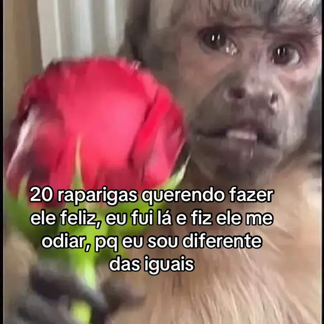 #explore #exploration #foryou #fy 