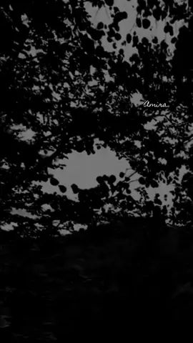 #اميرة🖤🖤👑 #fyp 