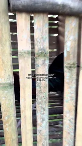 Pass sa lang#fvckcleeboy 