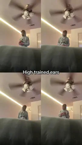 #fyp #viral #trending #dance #illusion #new #lego #jokes  #trend ##yt  #fun #sixfootdancer  #popular  #diablo #shorts #goofy  #creative #trending #reels #tiktok #sixfootdancer #toy #legos #illusion #coryxkenshin #期限切れ #kaicenat #jynxzi #ishowspeed #caseoh #famous #Minecraft #streamer #scary #fortnite #cod #diddy #kamala  #trump #2025 #adult #fortnite #emote #youtube #glorilla #live #ps5 #vira #xxx #xxxtentaction #fortnite #emote #viralvideo #chopped #ugly #black #american #usa #milwaukee #trending #하이론 #쥴리 #тенденция #kecenderungan #tendencia #趋势 #philly #tang #gamer #friends #tiktok #texas #louisiana 