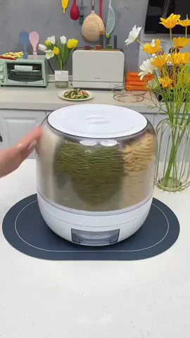 Hộp đựng hạt chia ngăn chống mối mọt #decor #dodungtienich #dogiadung #dodunggiadinh #DecorNhà 