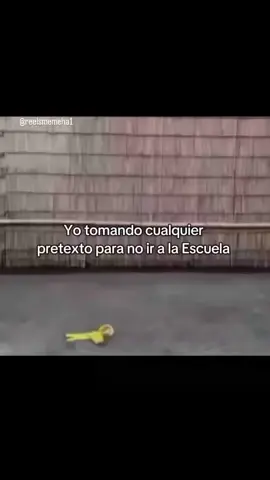 #escuelapublica#tiktokviral#parati#siguemeeeeeee