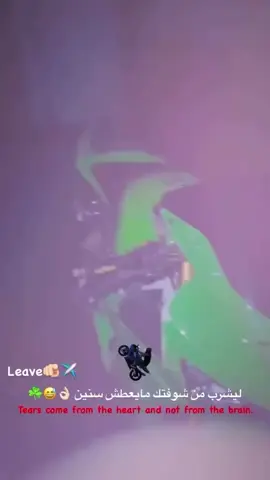 #شوفتك ترد لروح لميته روحه❤️‍🩹