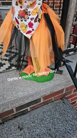 #gertietheporchgoose #porchgoosefam #porchgoose #thanksgivingoutfit 