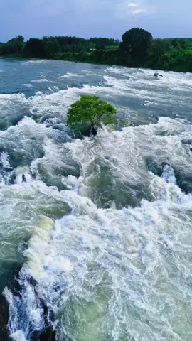 Phần 2 cây cầu k tên. #thactrian #vinhcuu #xuhuong #flycammini4k 