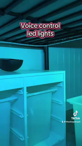 @Kamala Lighting #fyp #yourpage #tiktokshop 