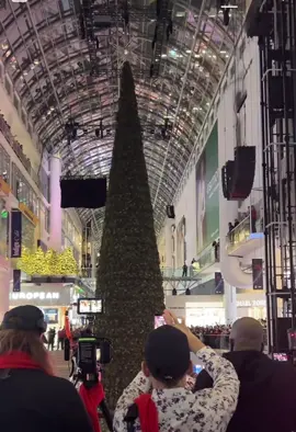 The biggest Christmas tree of the year was lit at Toronto’s Eaton Centre.🎄🤶❤️🇨🇦😍🫶#toronto #canada_life🇨🇦#cntower#viral_video#viraltiktok #foryou #froyou#fpy#fpy 