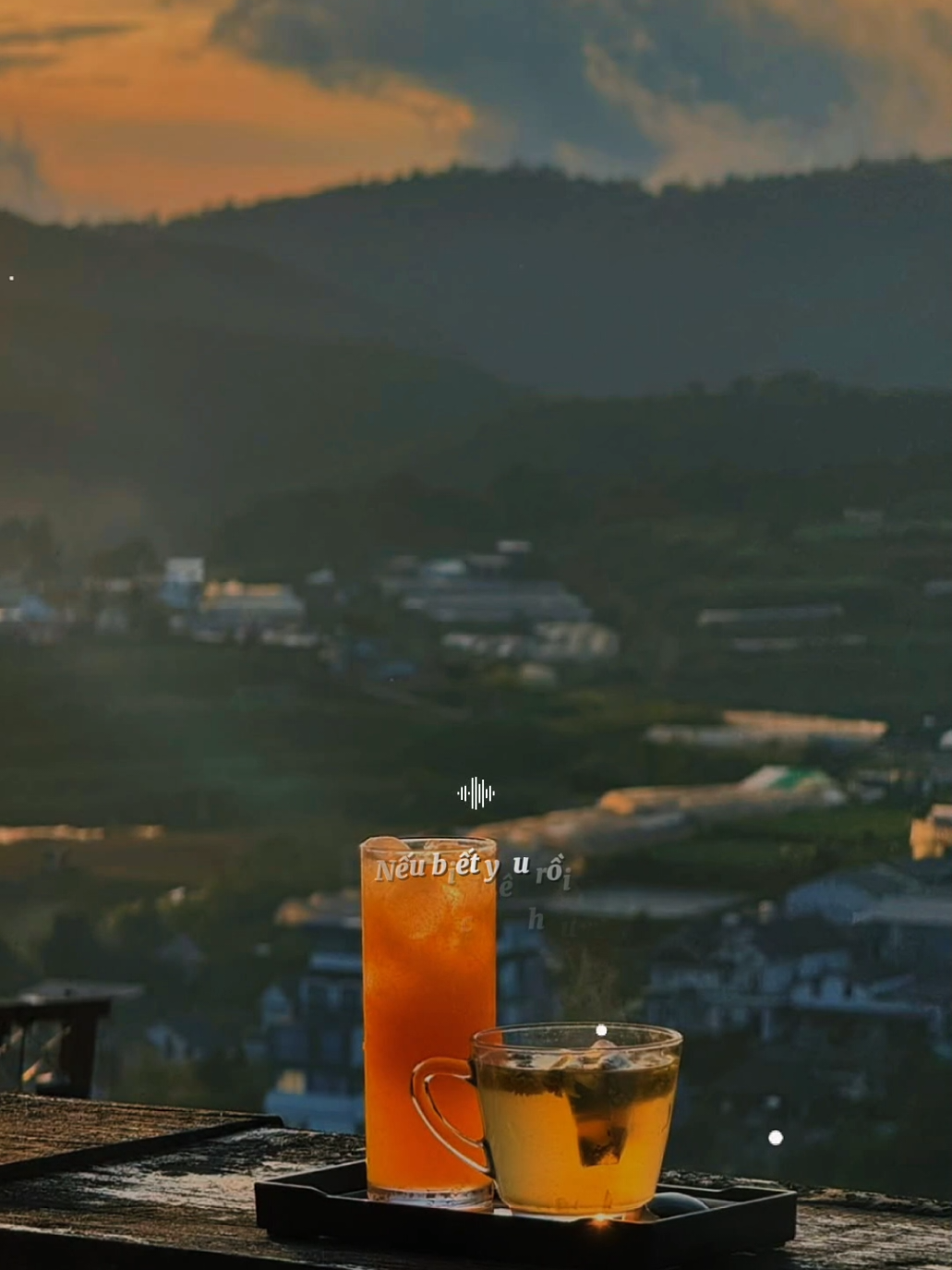 Nếu biết tình yêu, kết thành thương đau...