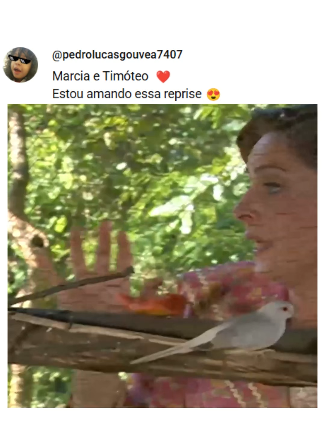 Parte 1 - Chocolate com Pimenta é uma das novelas mais amadas do Brasil, marcada pelo romance, humor e muita reviravolta. A trama acompanha Ana Francisca, que sai de jovem inocente e humilhada para uma mulher forte, rica e determinada a dar a volta por cima. Com personagens icônicos, vilões caricatos e cenas inesquecíveis, a novela conquistou gerações e continua viralizando até hoje nos cortes e momentos clássicos. 🍫✨ #ChocolateComPimenta #NovelasBrasileiras #CortesDeNovelas #TBTNovela #AnaFrancisca #TVBrasileira #NostalgiaTV