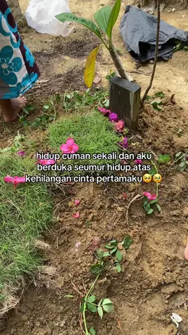 bahagia di surga pak🥺 #kuburanayah #kuburan #kangen #cintapertama #fyppp 