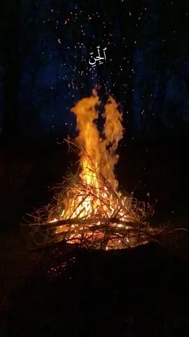 #quran #quran_alkarim #hadith #muslim  ألا بذكر الله تطمئن القلوب