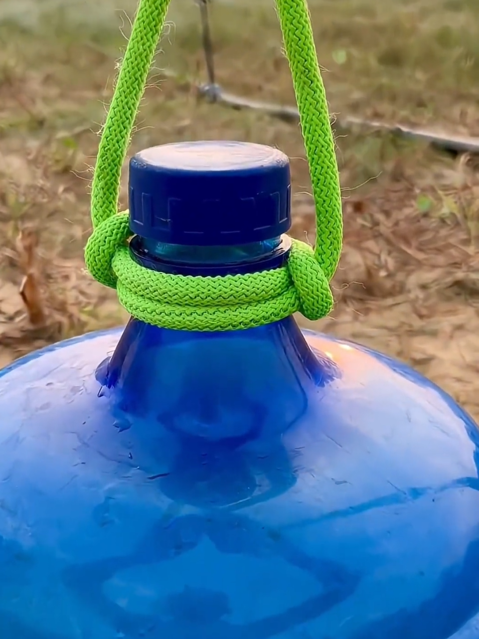 ☘️เกษตรยั่งยืน ตามรอยพ่อหลวง🌱 #เกษตรยั่งยืน#ตอนกิ่ง #ทาบกิ่ง #เกษตรอินทรีย์ #เสียบกิ่ง