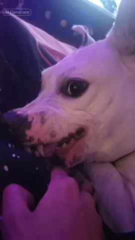 #CapCut @zeu @Amorelay @Juice 