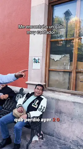 Me encontré a un gallo muy cantador  #queretaro #futbol #entretenimiento #fyp 