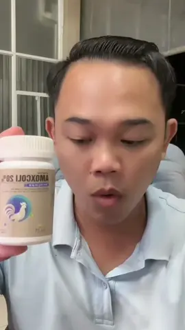 #gatre #yeudongvat #ganoi #dammega 