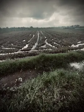 Nụ cười đã lâu anh mới thấy...! 