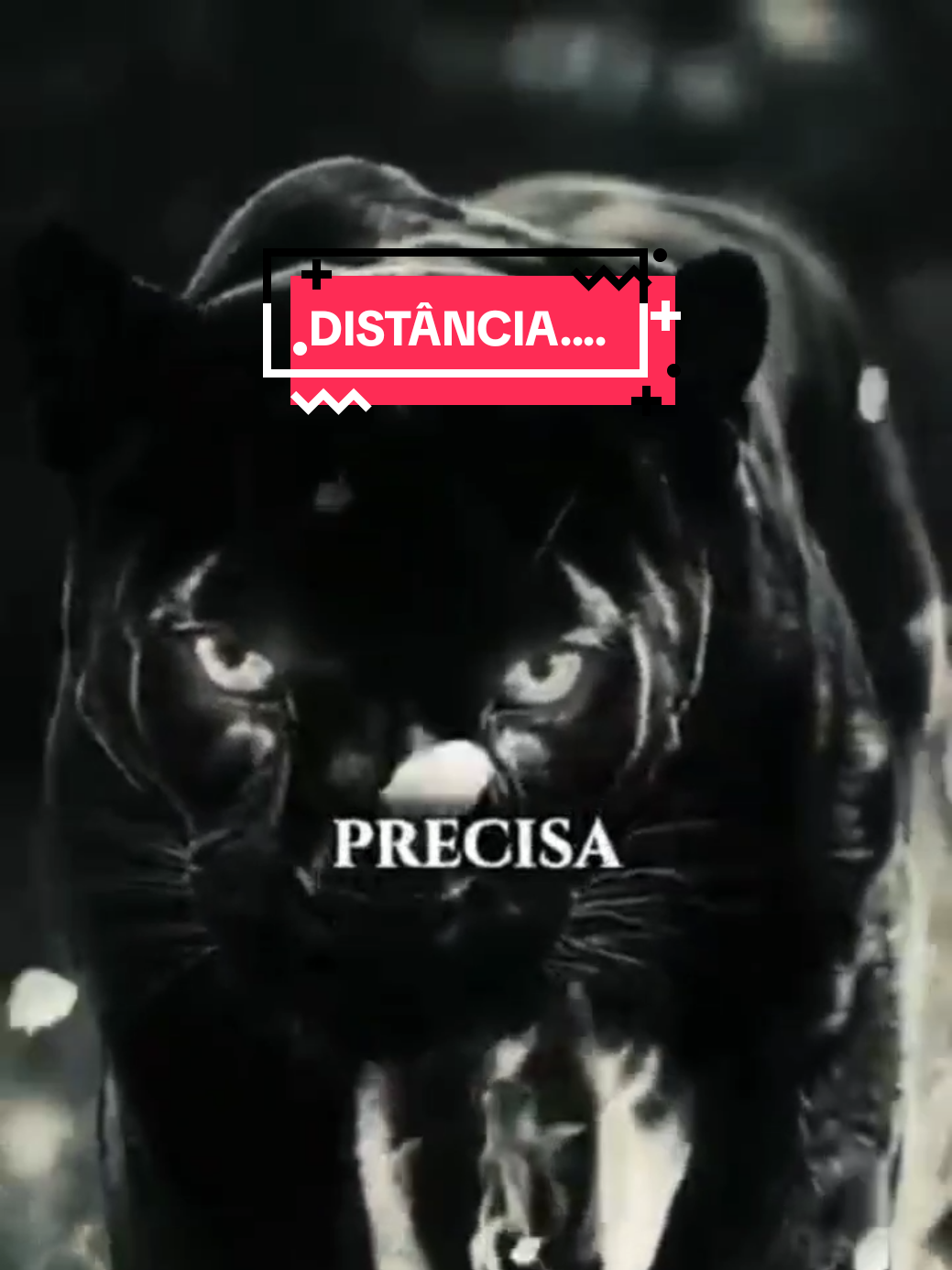 motivação e reflexão sobre a DISTÂNCIA #motivacional #reflexao #reflexaododia #Deus #reflexoes 