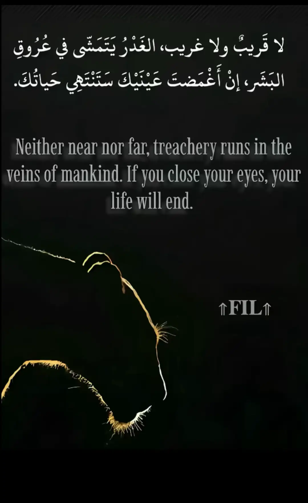 #الاسد #بسم_الله_ماشاء_الله #المحموديه_مدينتي🤍🥲 #CapCut #المحموديه_بحيره 