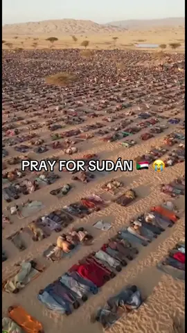 The world will not remain silent. Stop the Sudan genocide. 😔😭💔❤️‍🩹🇸🇩🇸🇩🇸🇩 #sudan #prayforsudan #freepalestine🇵🇸❤️ #creatorsearchingsights 