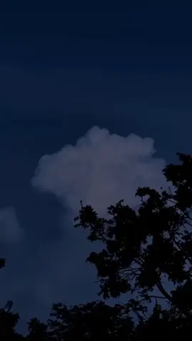 #trend #foryoupage #قران_كريم #tiktok #tiktok 