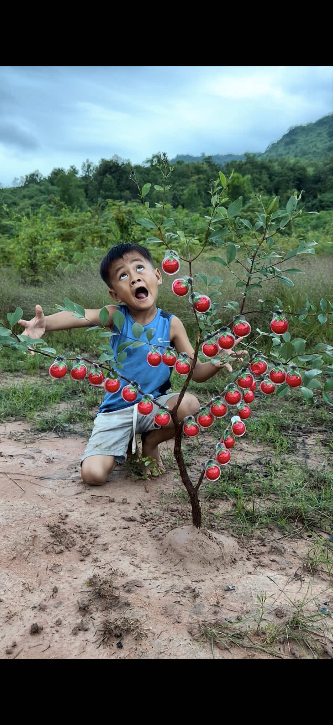 Survival bushcraft skills: SMART idea and USEFUL #bushcraft #survival #Outdoors #camping #simple 