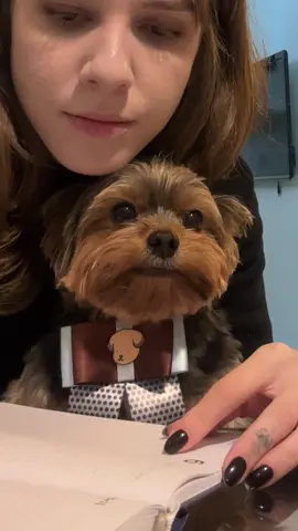 Tbt com ele 🥺❤️‍🩹 #fypシ゚ #foryoupagе #gatinhosfofos 