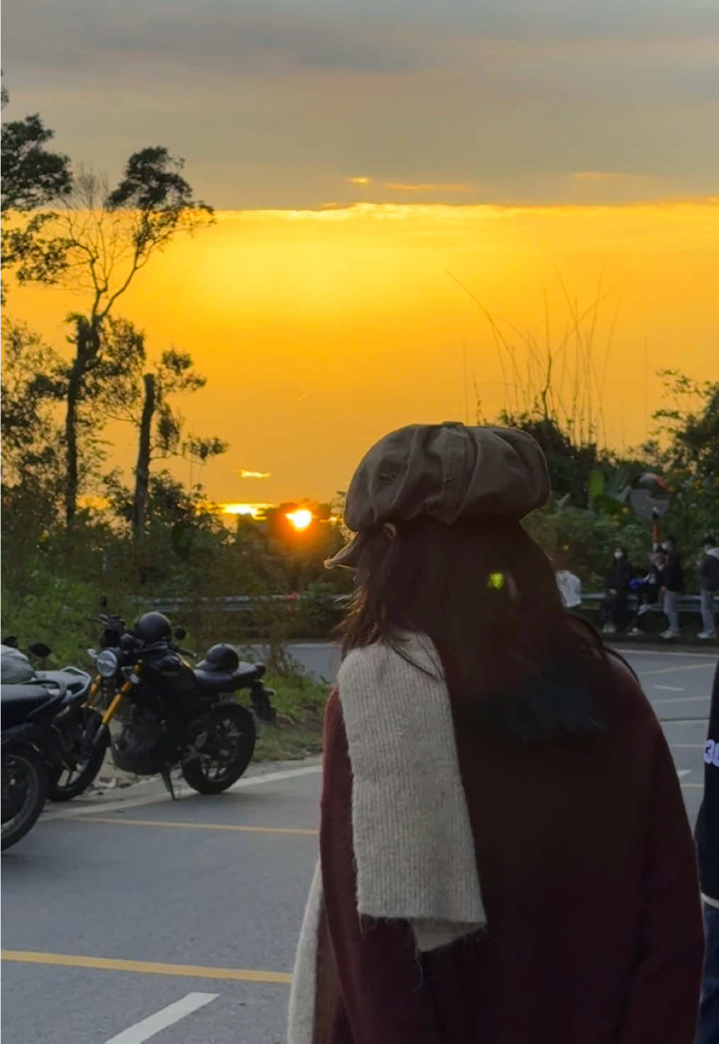 hẹn gặp lại mùa dã quỳ năm sau nhé #bavi #hoadaquy #sanmay #viral 