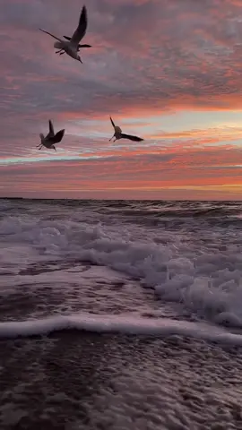 صلوا عليه وسلموا تسليما ❤️🤍#fypシ #fyp #مكة_الآن #مكة_المكرمة #مكة 