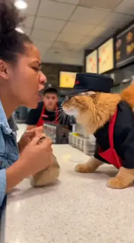 Cuando reclamas tu orden y el gerente es un gato furioso. #gato #viral #fyp #pizzeria 