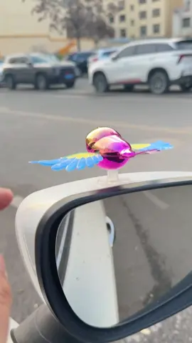 Chim trang trí xe #xuhuongtiktok #phukienxehoi #dochoioto #trangtrioto 