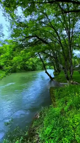 #သစ္စာရွှေစည်ဆရာတောအရှင်ဥတ္တမ၏🙏🙏🙏 #တရားတော်များနာယူမှတ်သားနိုင်ကြပါစေ #fpyシ #foryou #myanmartiktok🇲🇲🇲🇲 