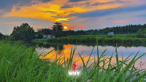 Ngắm hoàng hôn để thấy được bình yên.#CapCut #hoanghon #nhacchill #vairal #xuhuong 