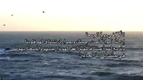 اللهم ارحم فهد وريان وغفرلهم اللهم اجعل قبرهم روض من رياض الجنه اللهم ارحم موتانا وموتى المسلمين جميعا #صدقة_جارية_لفهد_وريان #قران_كريم #اكسبلور #مكة #سبحان_الله 