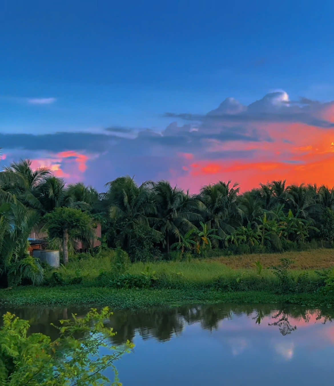 Một sương hai nắng dãi dầu cùng nhau ......