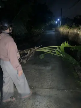 đấu giá buồng chuối đi nửa đêm cực khổ lắm🤣#xuhuongtiktok 