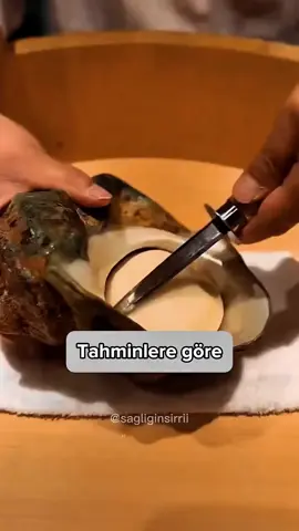 #yükselentopluluk #___can__parem___ #TTT #fyppppppppppppppppppppppp #foryou 