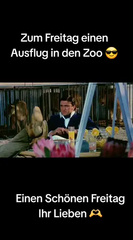 #budspencerterencehill 