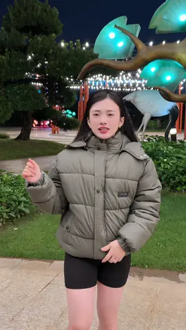 Áo phao nam, áo khoác phao nam