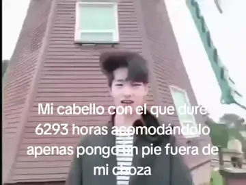 Parece q el audio estaba fumigando a Hyunjin, PQJDPQJFLW. Así está mi cabello ahorita por el frío y termina tieso, nodarisa #zyxbca #fypシ゚ #podercerdito❤️ #humor #parati 
