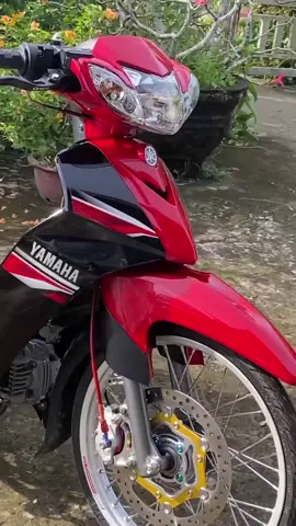 #siriusđộkiểng #xuhuongtiktok 