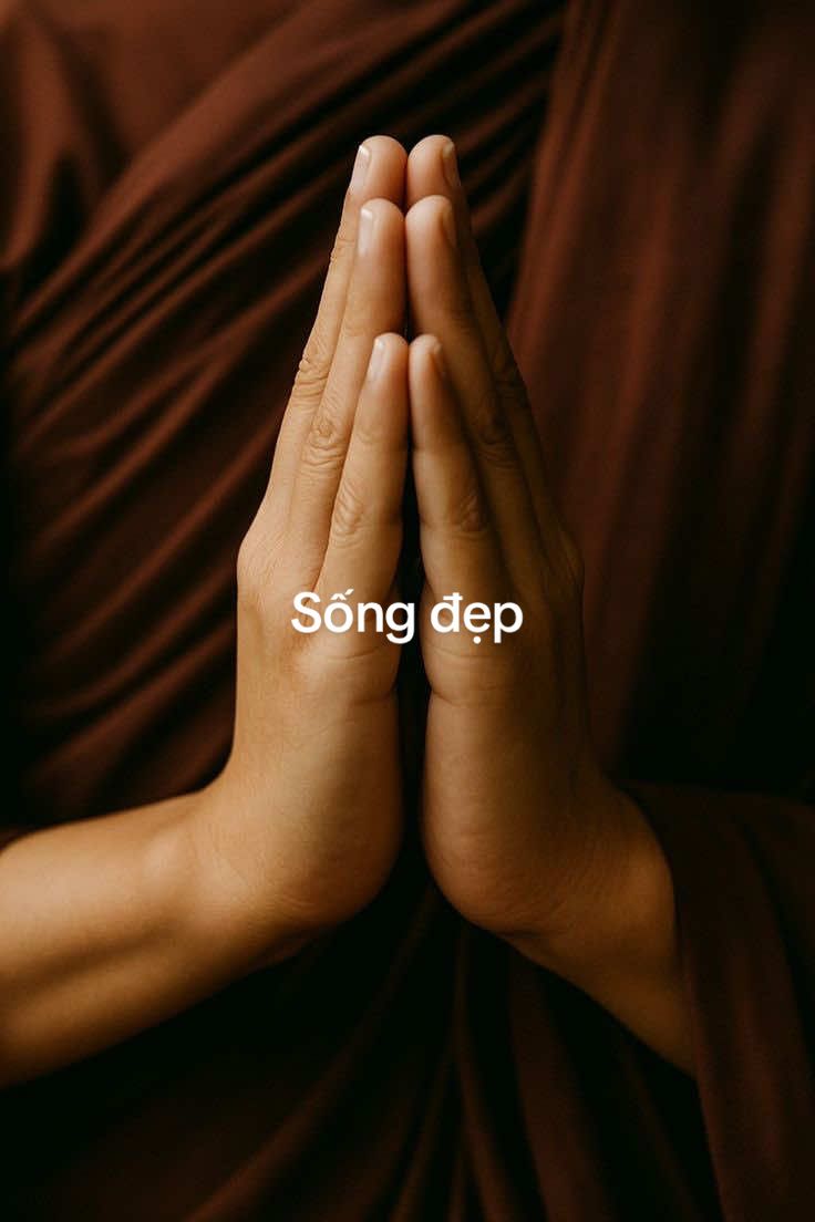 Sống đẹp #phatphap #tutap #anlac #phuoc #nghiep 