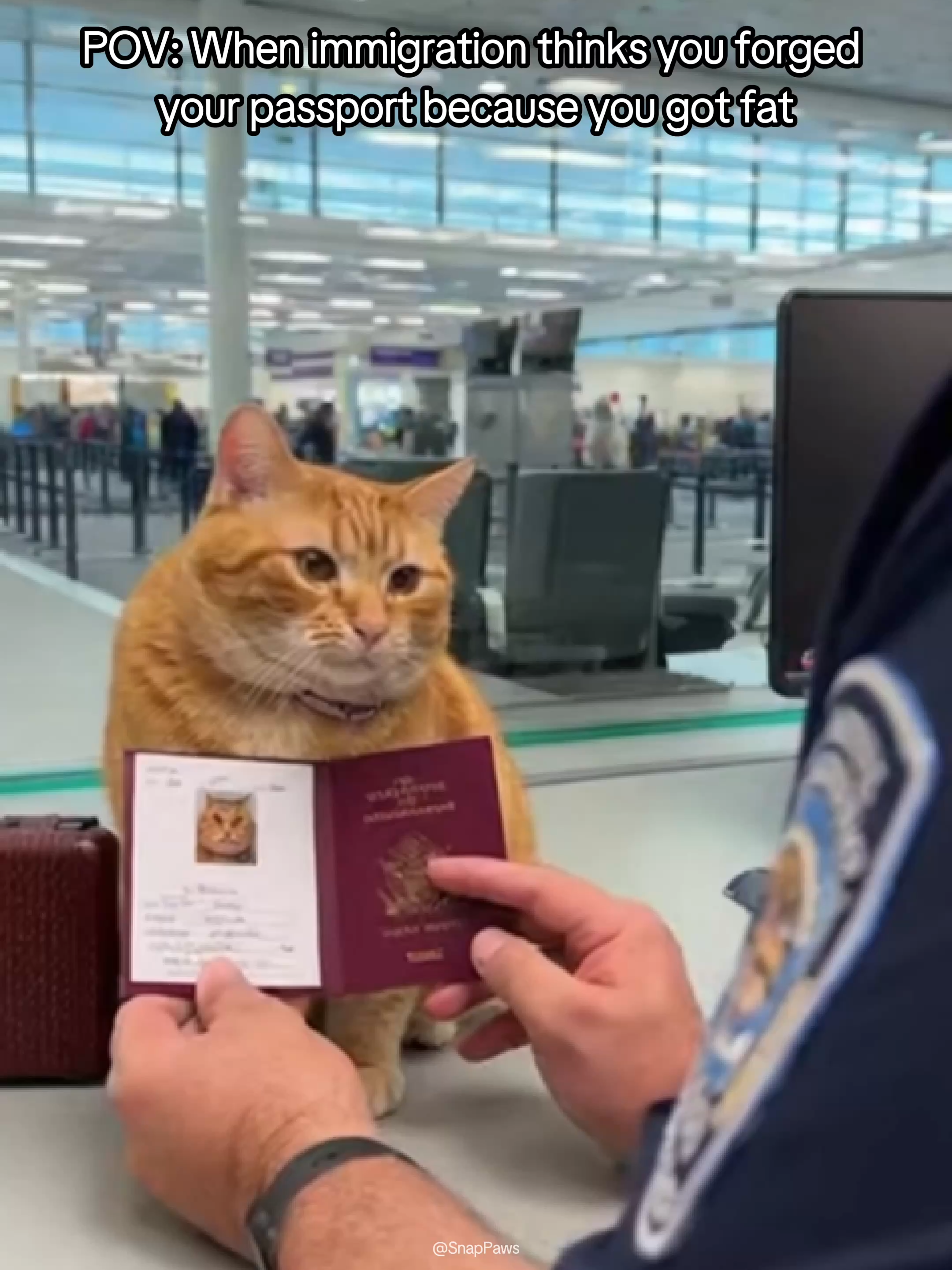 He Just Wanted to Travel… Not Get Body-Shamed