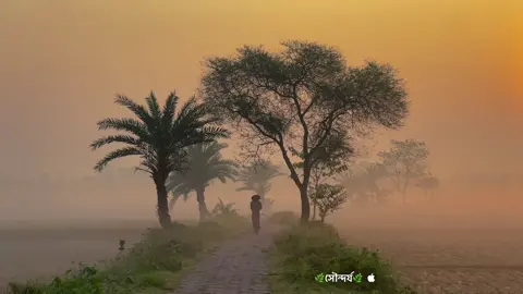 কাল যা হয়ে গেছে, তা শুধু স্মৃতি, আর আজ যা হবে তা হবে নতুন গল্প তৈরির সুযোগ। #viral #fyp #natural #foryoupage 
