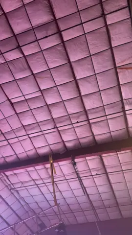 Una norteña 😍🔥#tb #fypシ゚viral #CO #likeit #norteñaconsax🔥🔥 @Edwin 