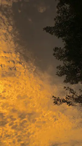 لا شيء يفوق حب النبي محمد صلى الله عليه وسلم لقومه “tidak ada yang bisa melebihi cinta nabi muhammad SAW. terhadap ummatnya” #arabic #arabicsong #arab #fyp #foryou 