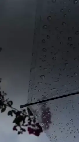 امین🖤 خوایەگیان بارانی بە ڕەحمەتمان بۆ ببارێنە🖤